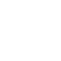 Car Insurance Renewal